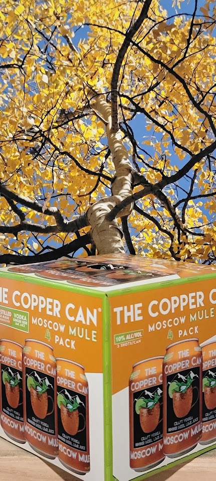 Copper can moscow mule