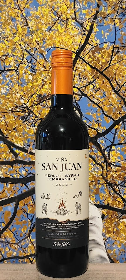 Vina san jaun la mancha red blend