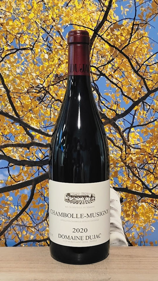 Domaine dujac chambolle musigny