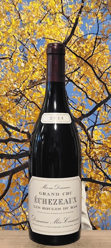 Meo camuzet grand cru echezeaux 'les rouges du bas'