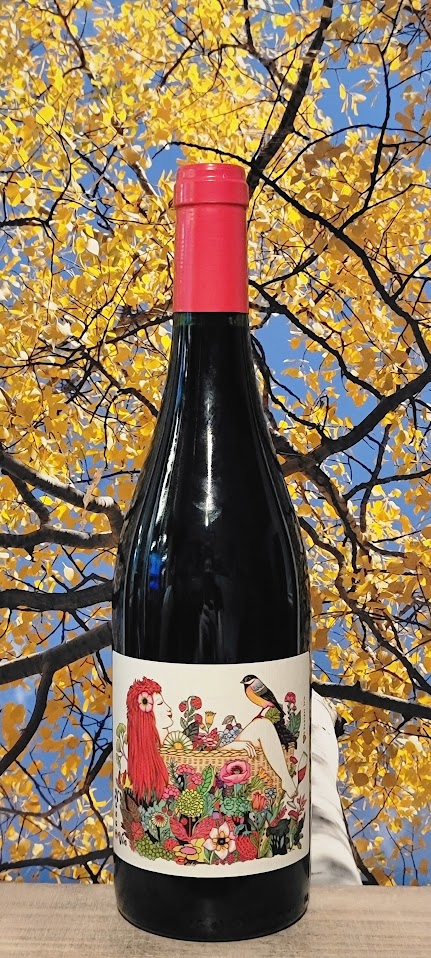 Domaine le briseau nanavins et cie vdf rouge