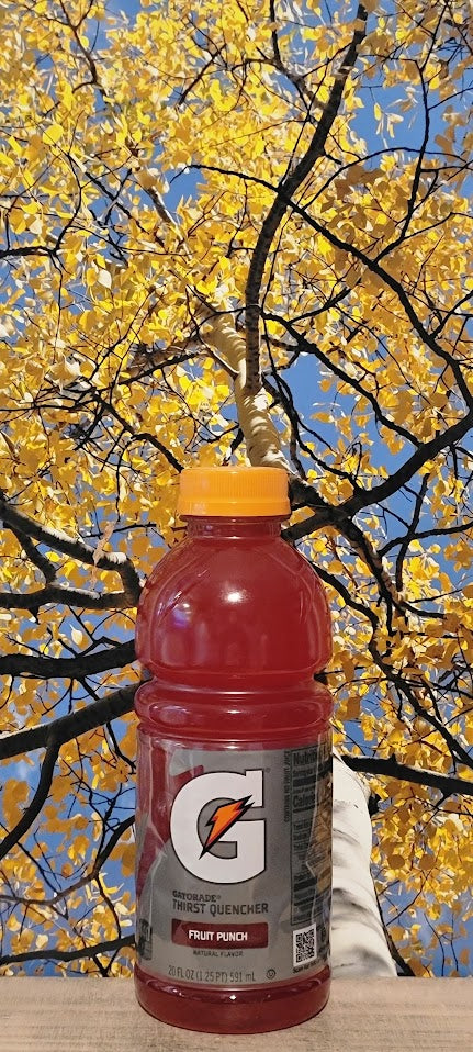 Gatorade fruit punch