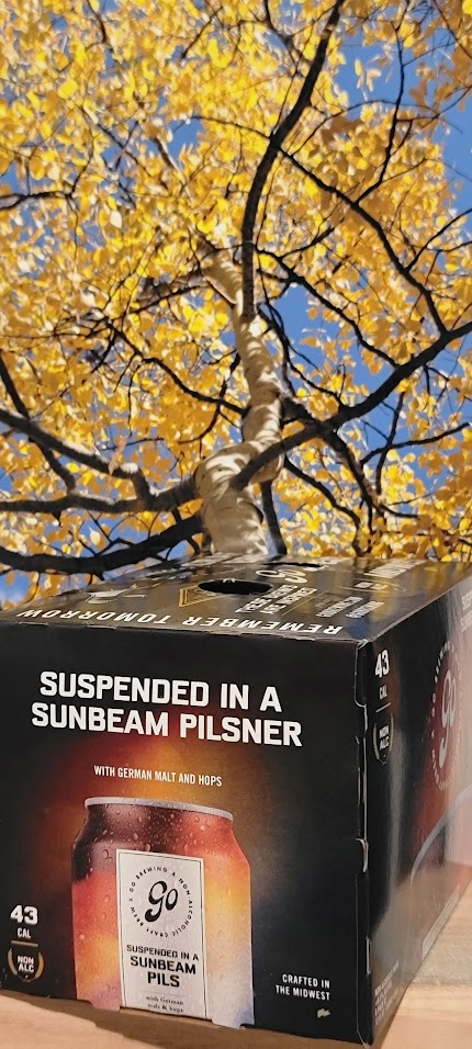 Go brewing midwest sumbeam pilsner