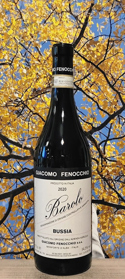 Giacomo fenocchio bussia barolo