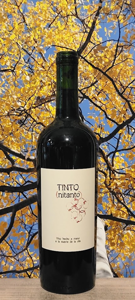 Terroir ninto cinsault