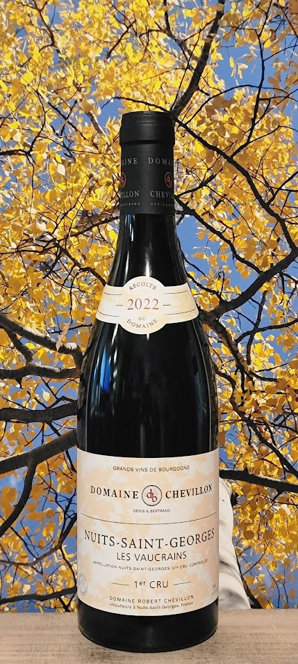 Domaine chevillon nuits-saint-georges 1cr 'les vaucrains'