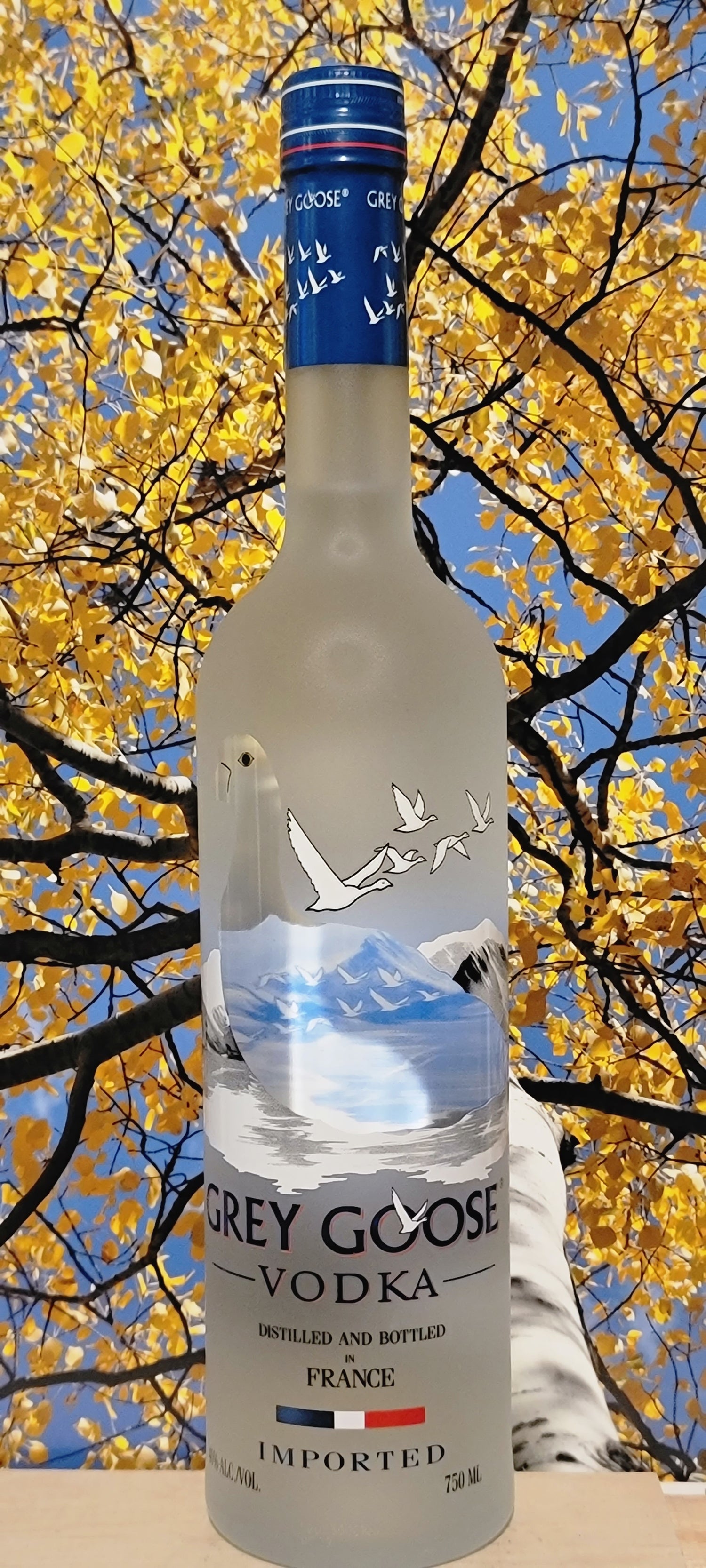 Grey Goose Vodka 1 Liter Empty Bottle for Craft and Decor. -  Norway