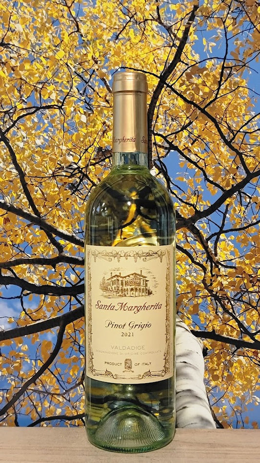 Santa margherita pinot grigio