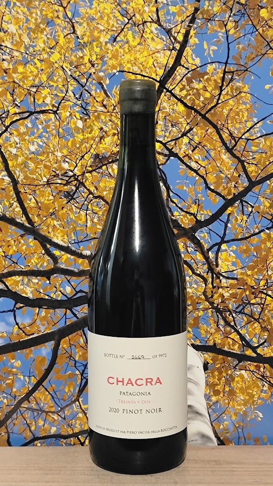 Bodega chacra 32 pinot noir