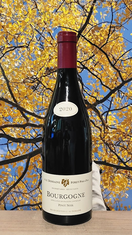 Domaine forey bourgogne pinot noir