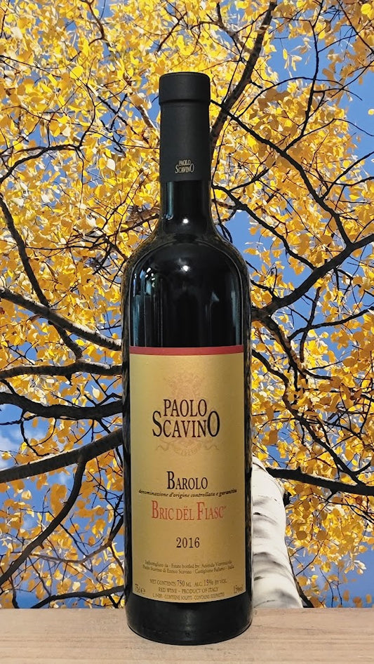 Paolo scavino novantesimo barolo 2011