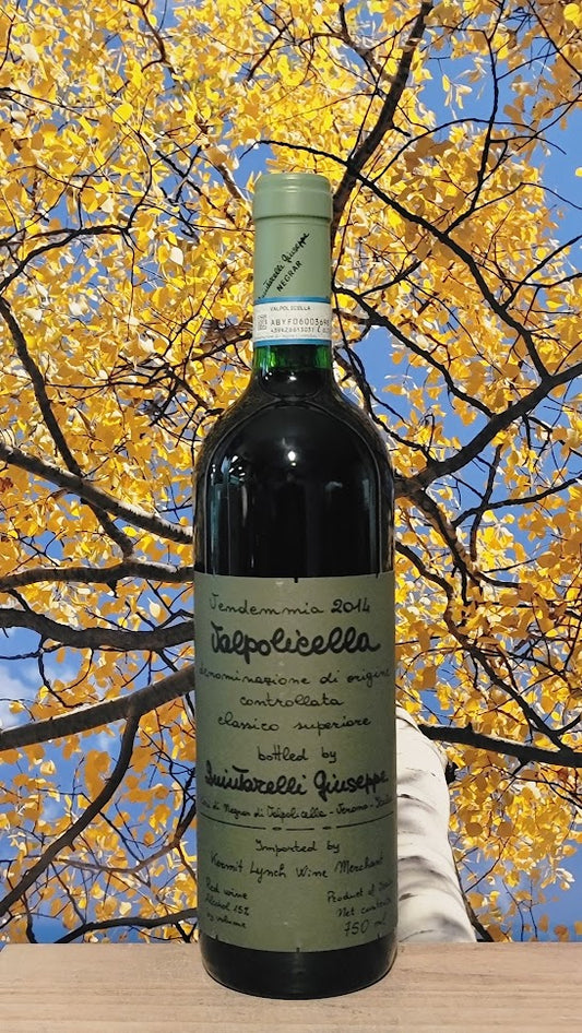 Giuseppe quintarelli valpolicella classico superiore