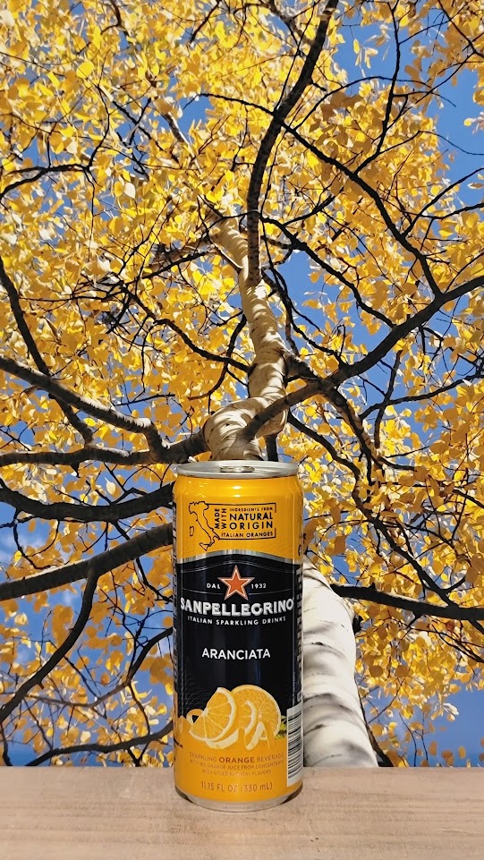 San pellegrino aranciata