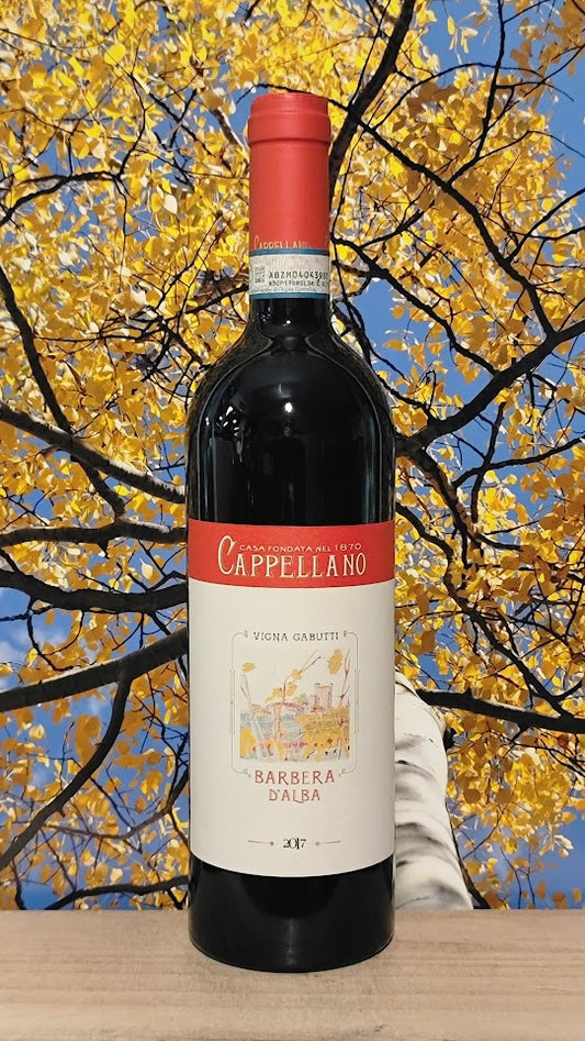 Cappellano vigna gabutti barbera d'alba