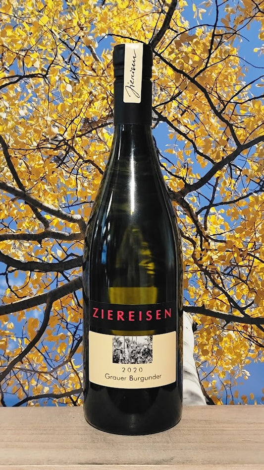 Ziereisem grauer burgunder pinot gris