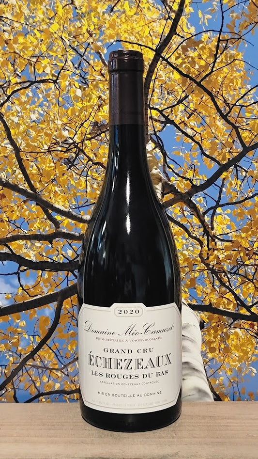 Meo camuzet grand cru echezeaux les rouges du bas