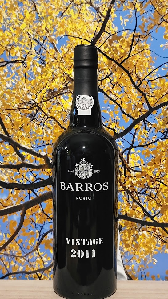 Barros 2011 port