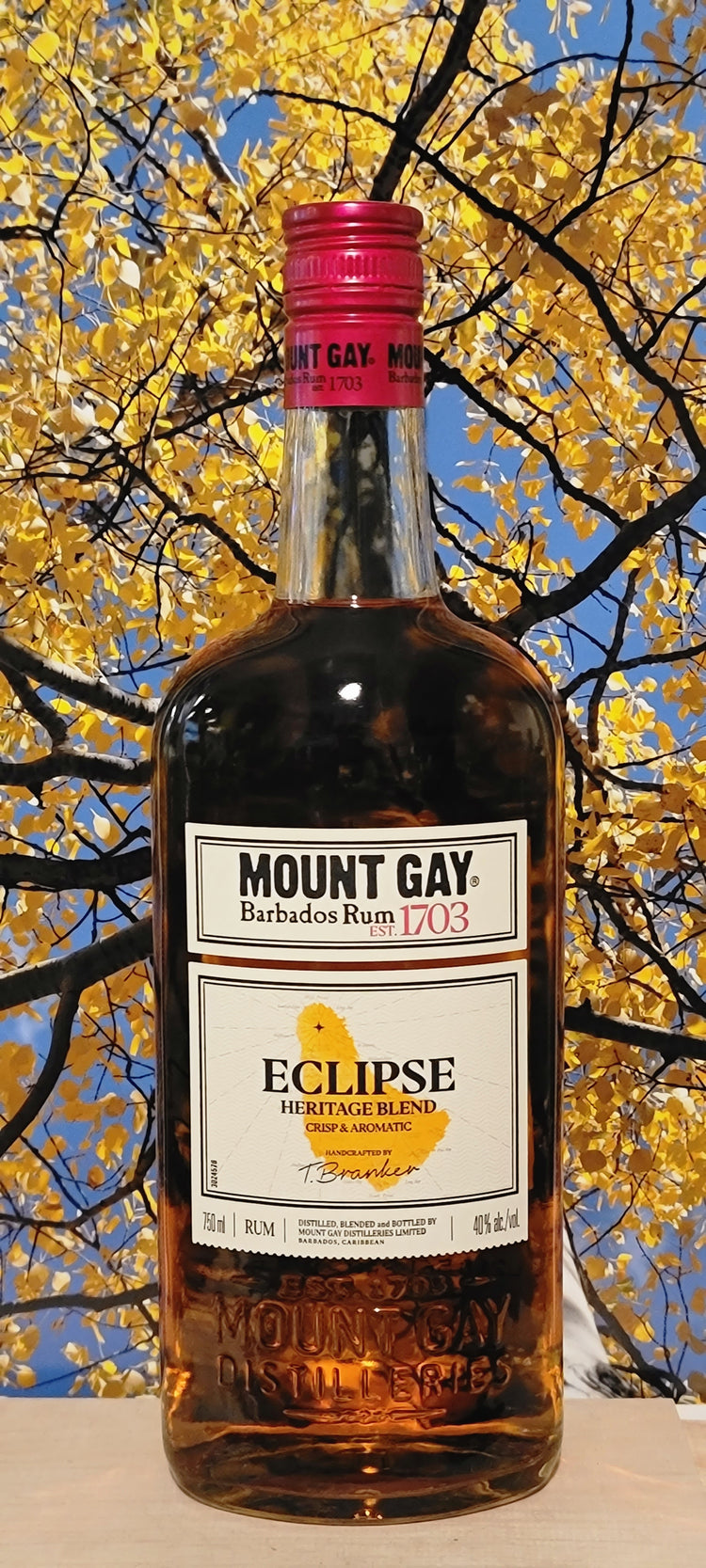 Mount gay rum